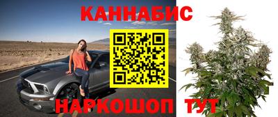 амф Кингисепп
