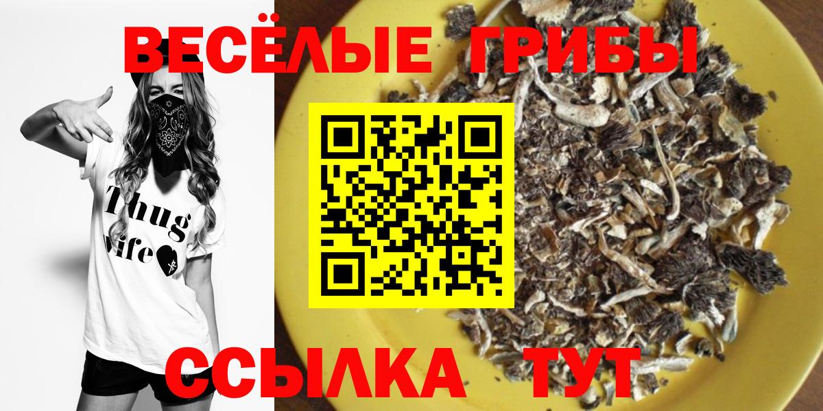 Галлюциногенные грибы GOLDEN TEACHER Кунгур